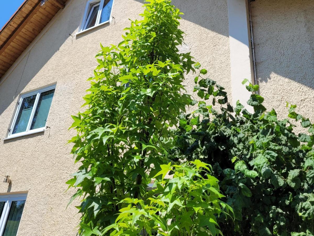 I24Rooms - Gaestezimmer Mit Eigenem Garten Legau Exteriér fotografie