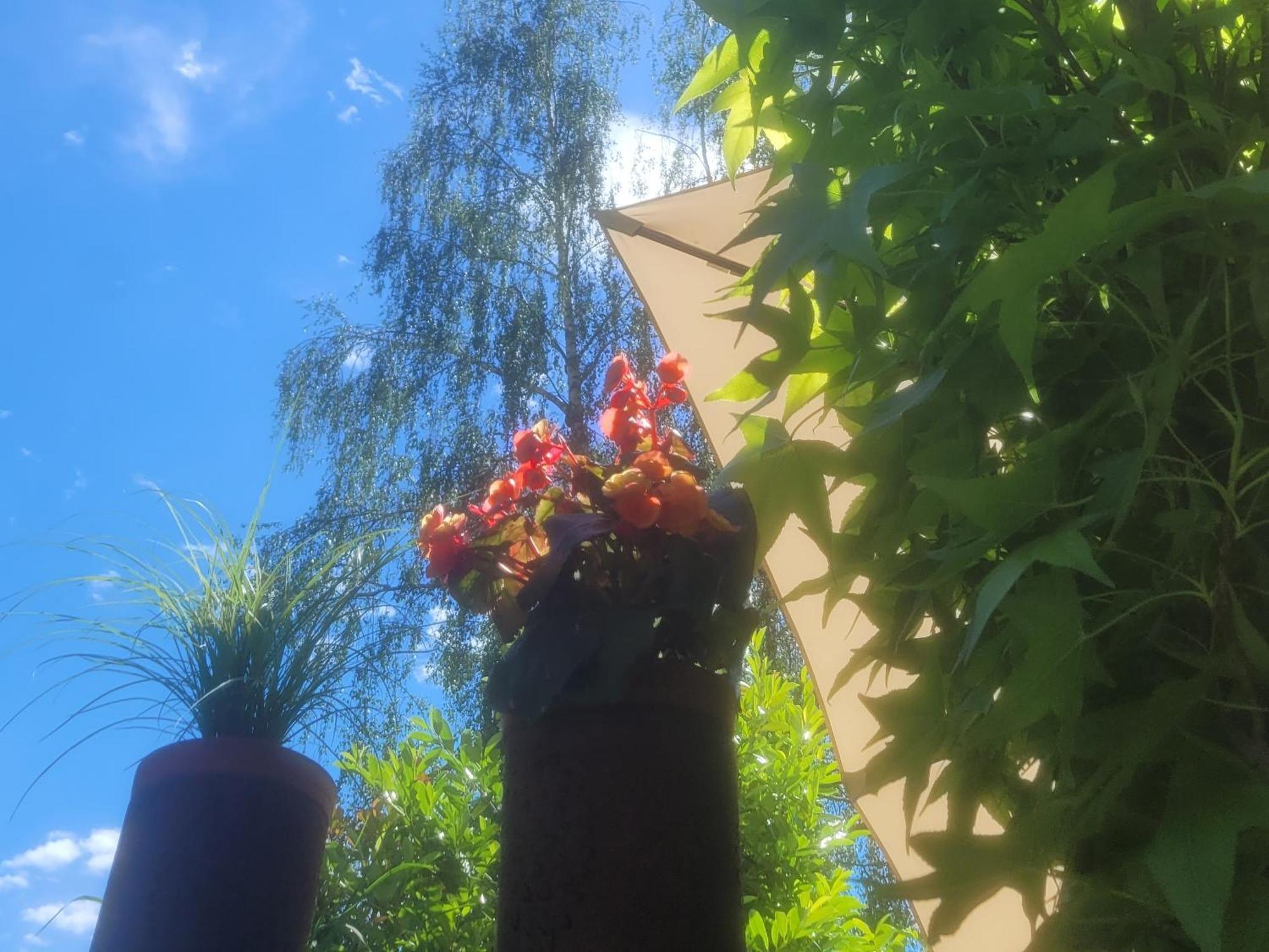 I24Rooms - Gaestezimmer Mit Eigenem Garten Legau Exteriér fotografie